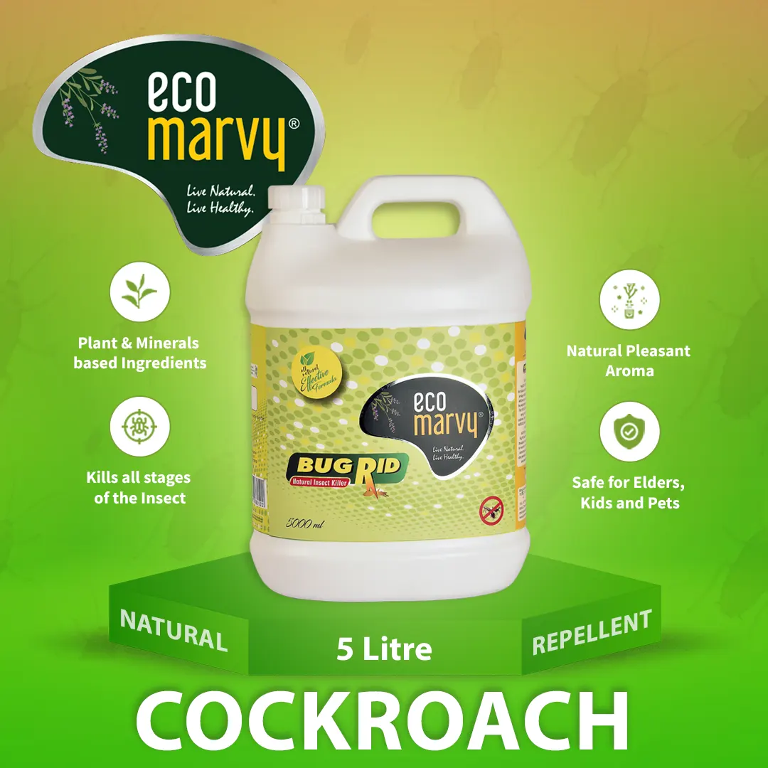 best-cockroach-spray-5litre